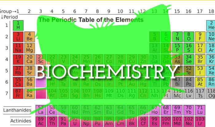 Periodic table webquest answer sheet