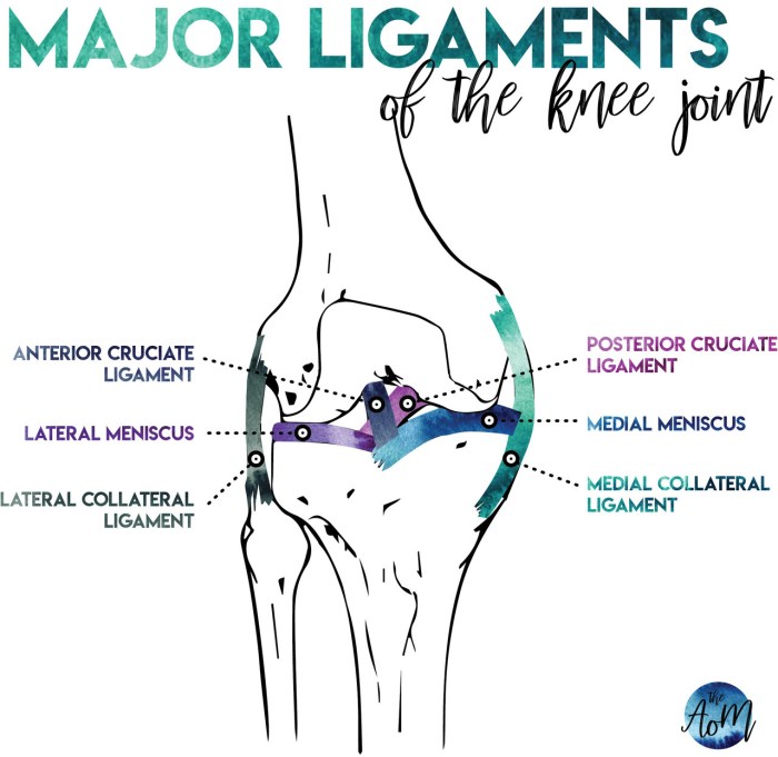 Knee ligaments ligament acl anterior cruciate tear injury treatment causes common joint injuries symptoms options hyperextension mechanism