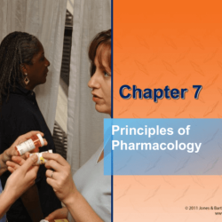 Module 8 pharmacology and intravenous therapies