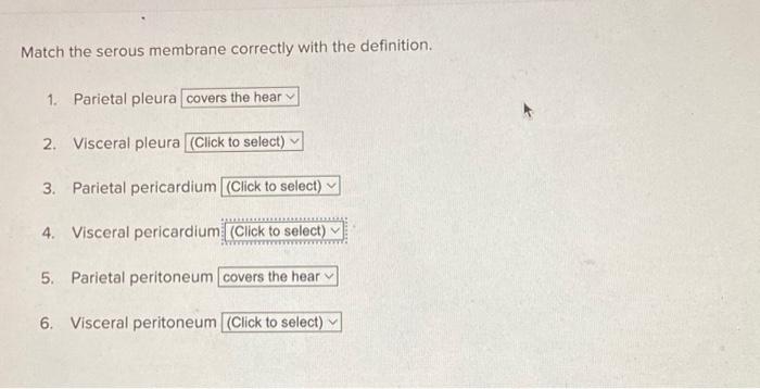 Serous membranes cavity directional correct match pericardium pleura