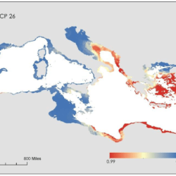 Lionfish invasion density dependent population dynamics