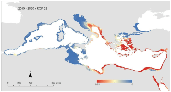 Lionfish invasion density dependent population dynamics