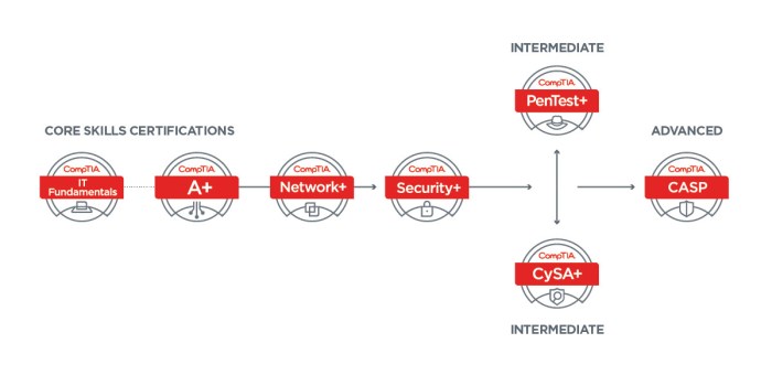 Comptia security+ guide to network security fundamentals 7th edition pdf